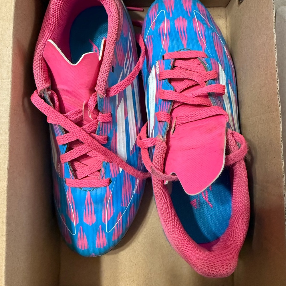 Stylish Pink and Blue Women's Shoes